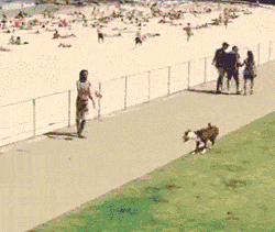 dog_playing_soccer_with_owner_at_the_beach.gif