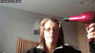 dog_vs_hair_dryer.gif