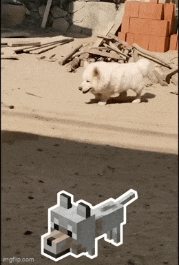 doge091.gif