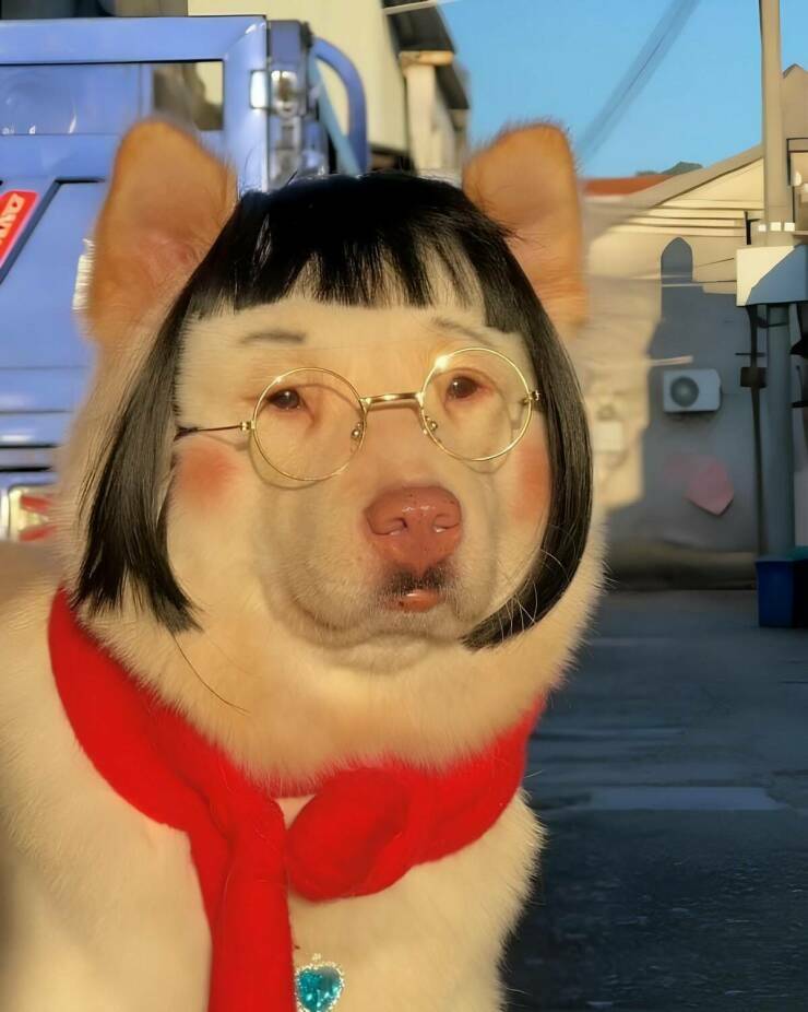 doge16.jpg
