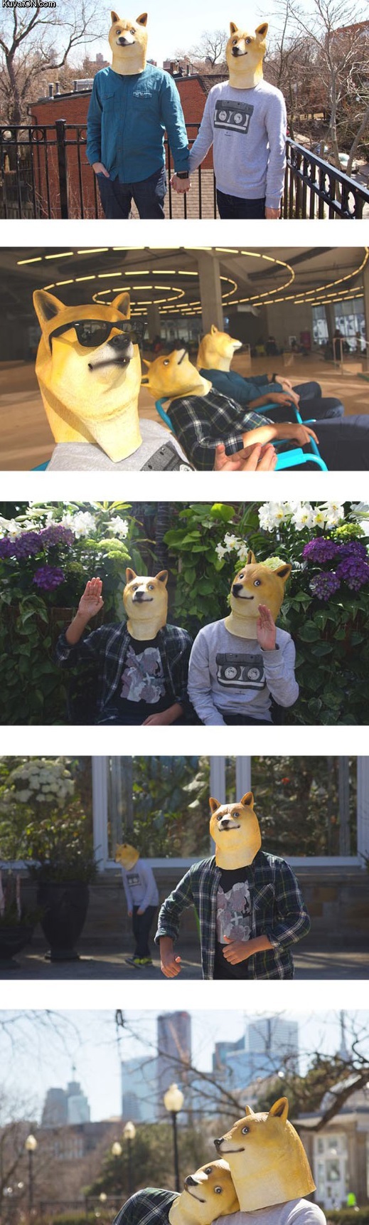 doge_mask.jpg