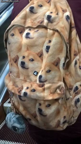 dogebag.jpg