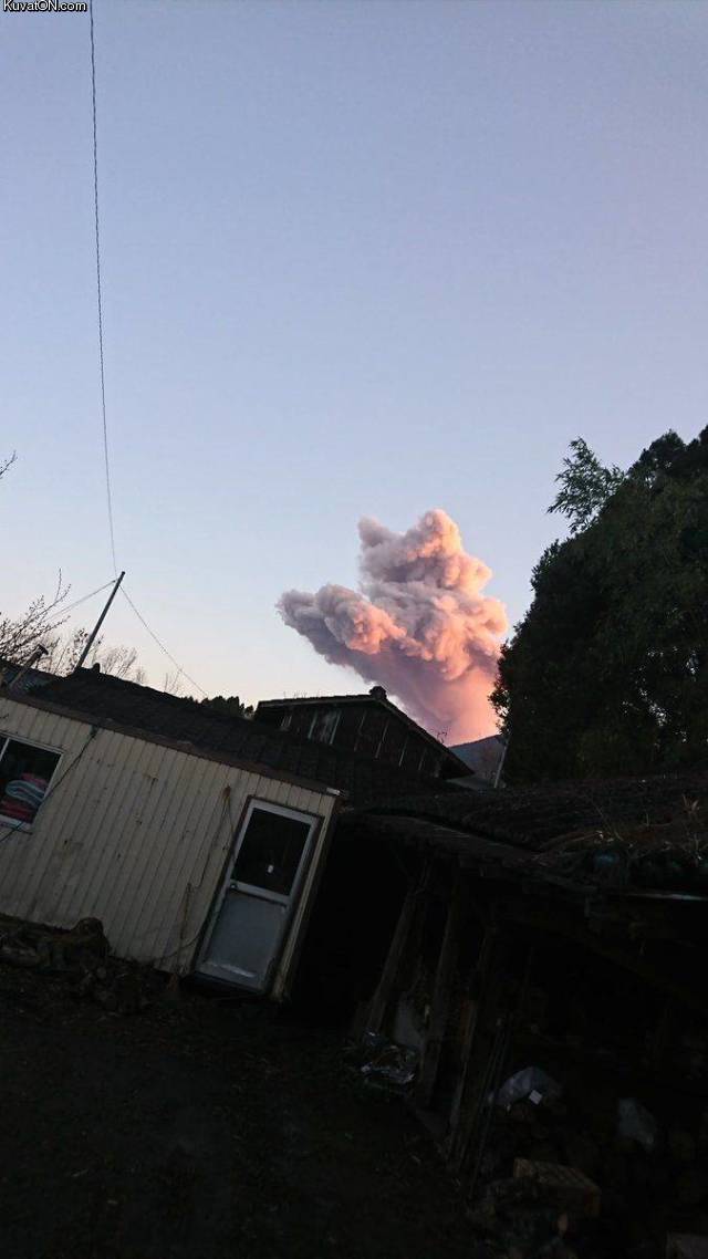 dogecloud.jpg