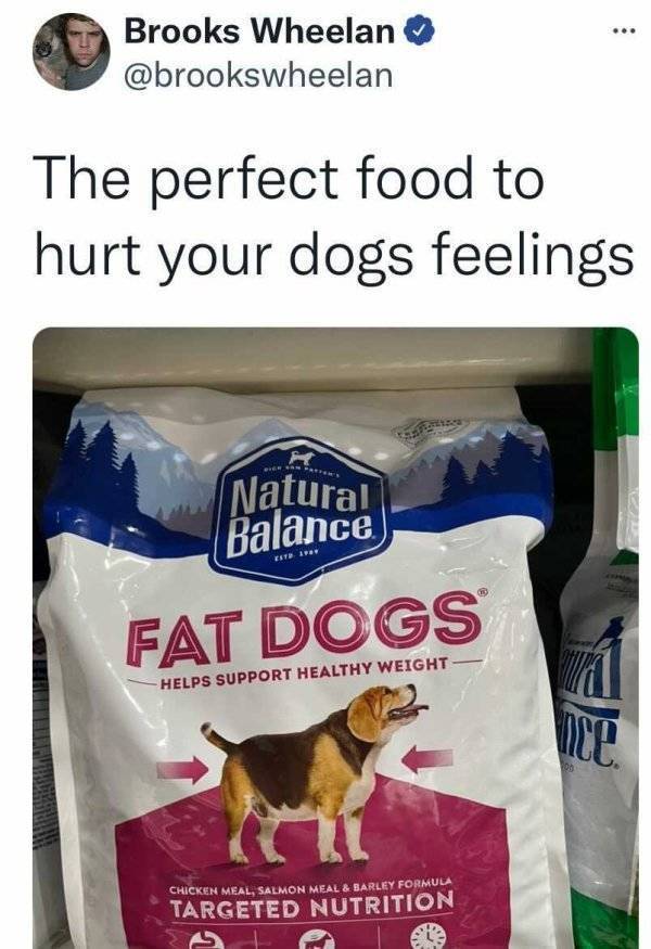 dogfeelings.jpg