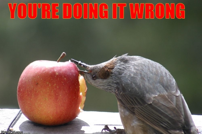 doing_it_wrong13.jpg
