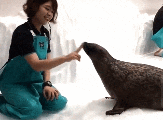doingg.gif
