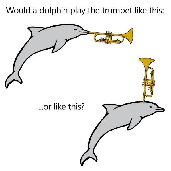 dolphin_play_trumpet.jpg