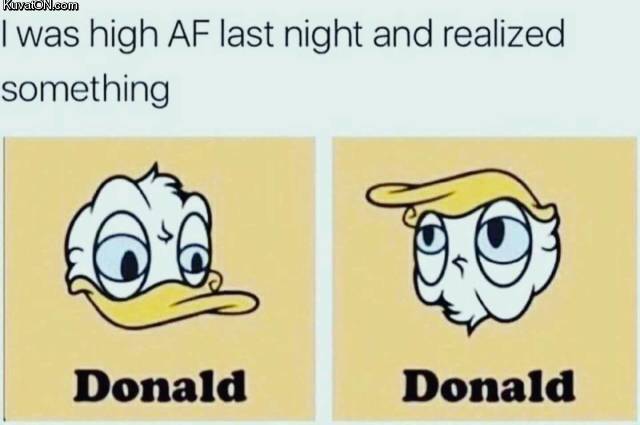 donalds.jpg