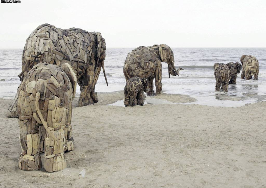 driftwood_elephants.jpg