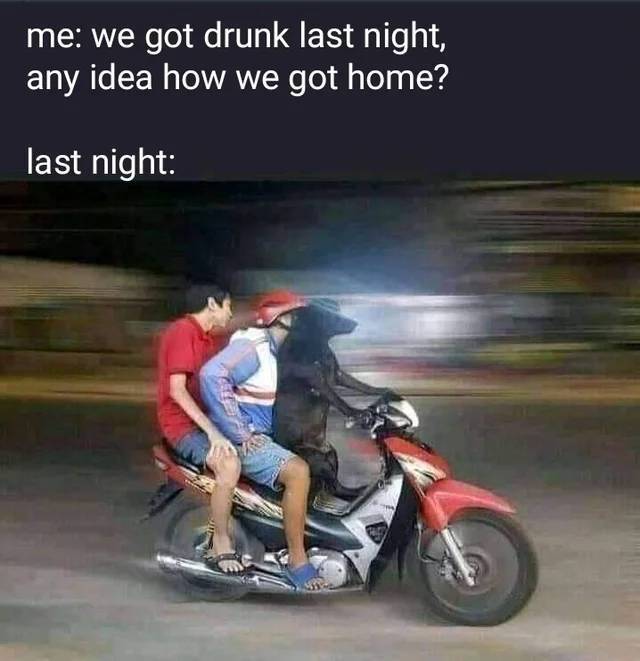 drunk03.jpg