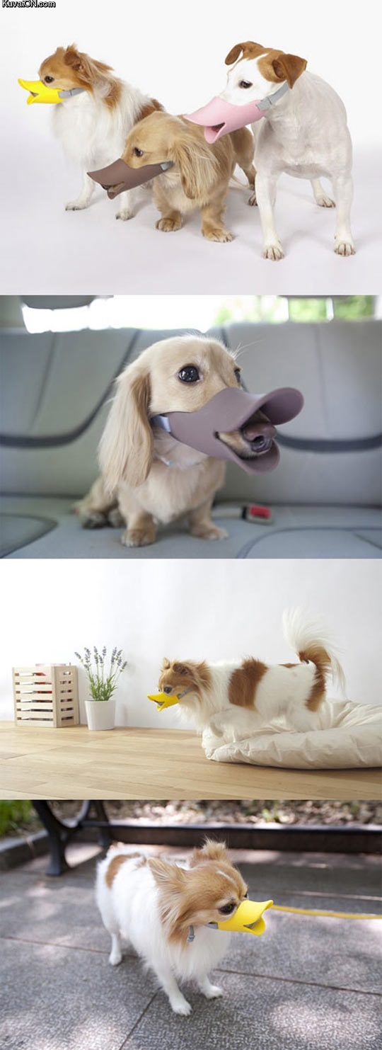 duck_billed_protective_muzzle_for_dogs.jpg