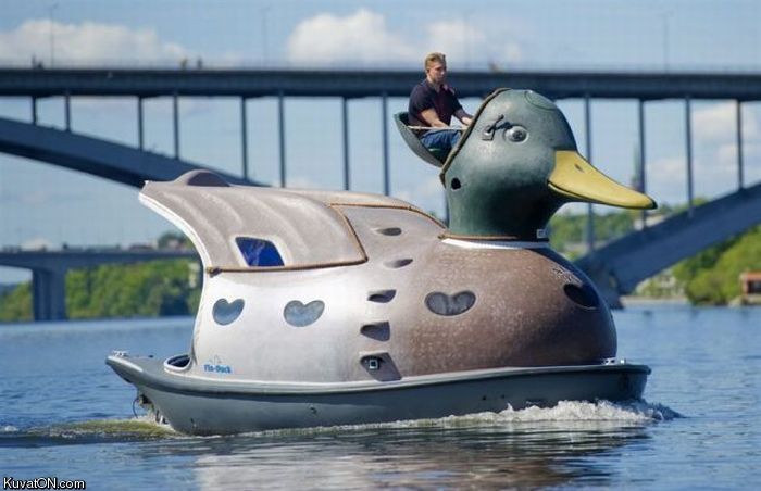 duck_boat.jpg