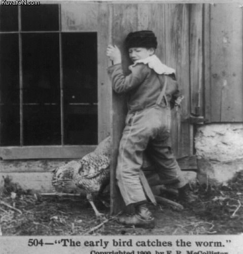 early_bird_catches_the_worm.jpg