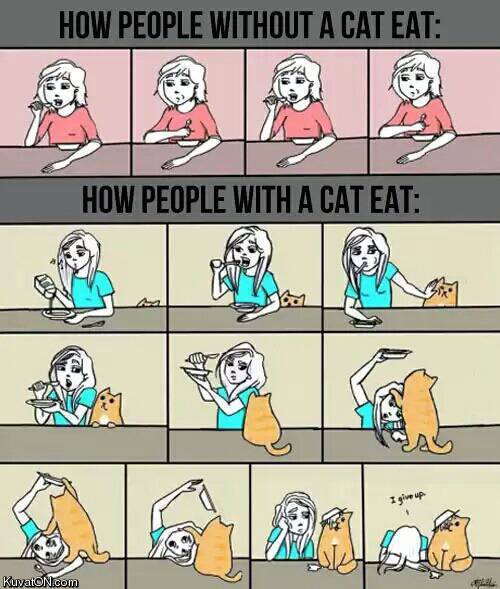 eat_with_cat.jpg