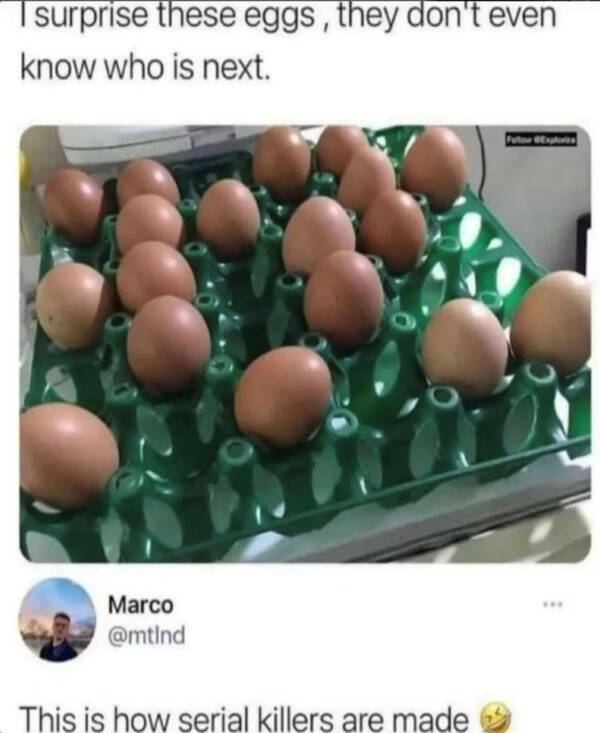 eggs11.jpg