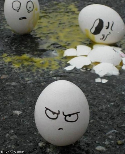 eggs5.jpg