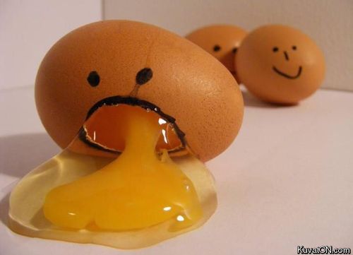 eggs7.jpg