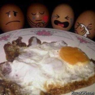 eggs9.jpg