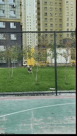 ei_paassy_tuosta.gif