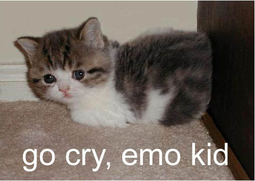 emo_cat.jpg