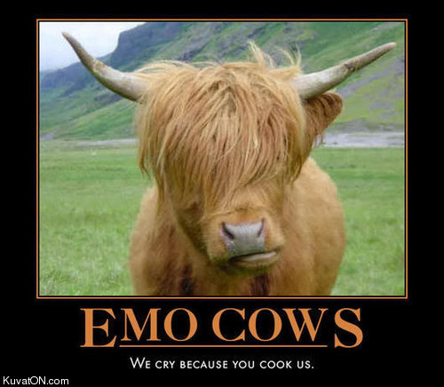 emo_cows.jpg