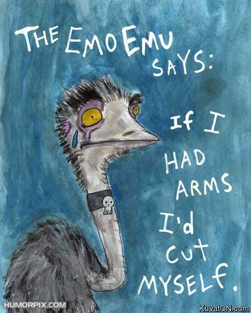 emo_emu.jpg