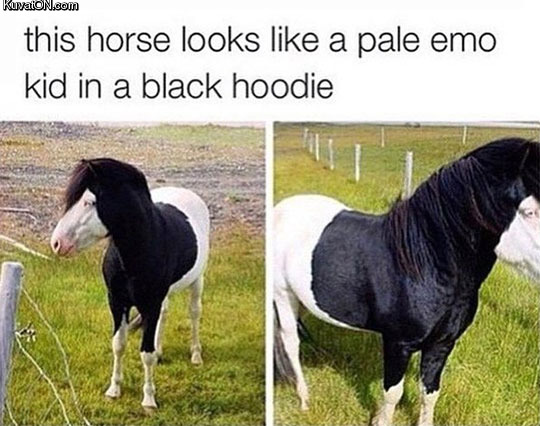 emo_horse.jpg