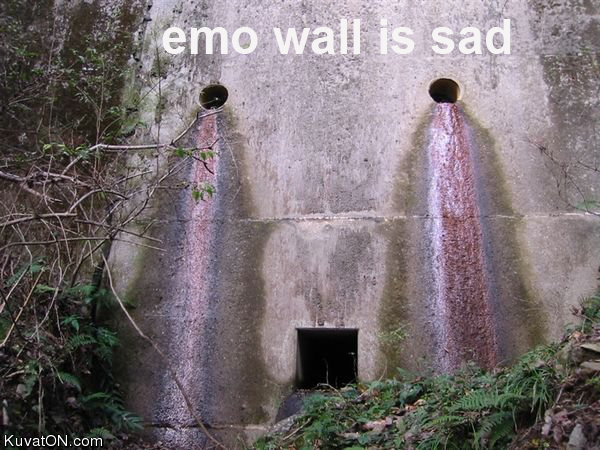 emo_wall.jpg