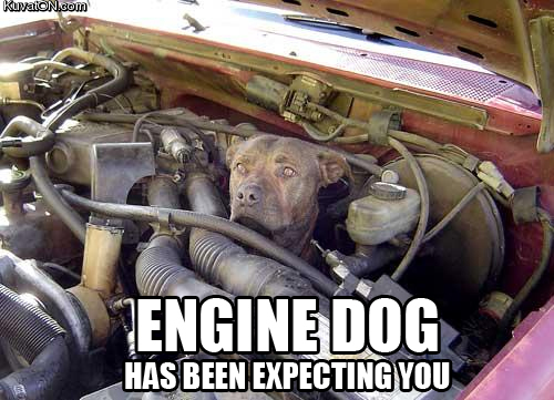 engine_dog.jpg