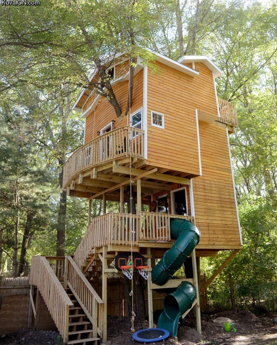 epic_treehouse.jpg