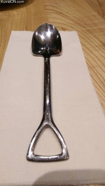 erikoisempi_lusikka.jpg