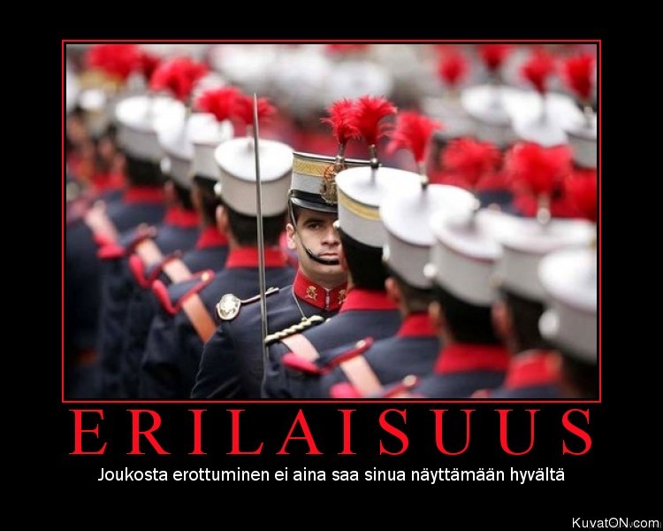 erilaisuus.jpg