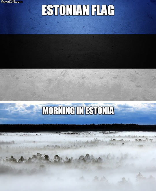 estonia_2.jpg