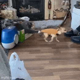 et_mee_viel.gif