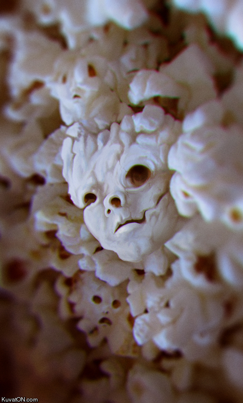 evil_popcorn.jpeg