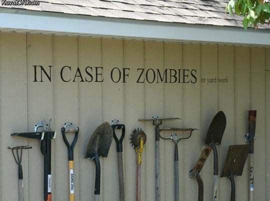 excellent_idea_for_keeping_your_gardening_tools.jpg