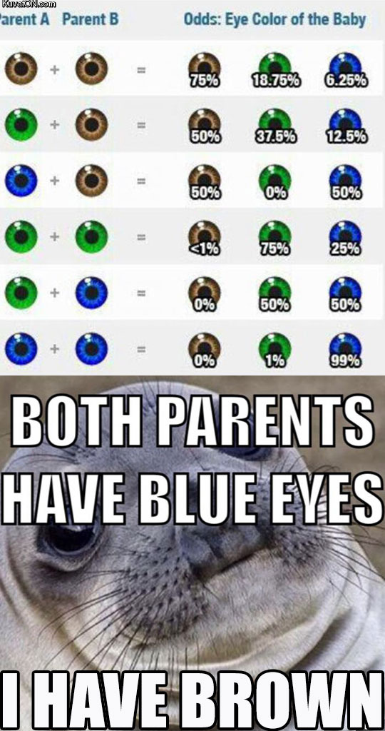 eye_color_of_the_baby.jpg