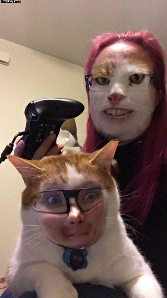 faceswapcat.jpg