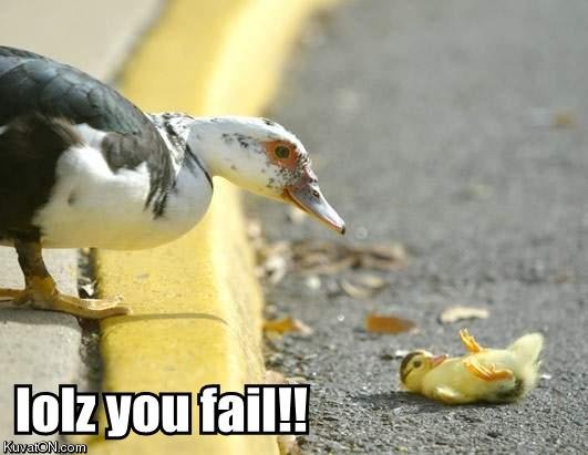 failure_bird.jpg