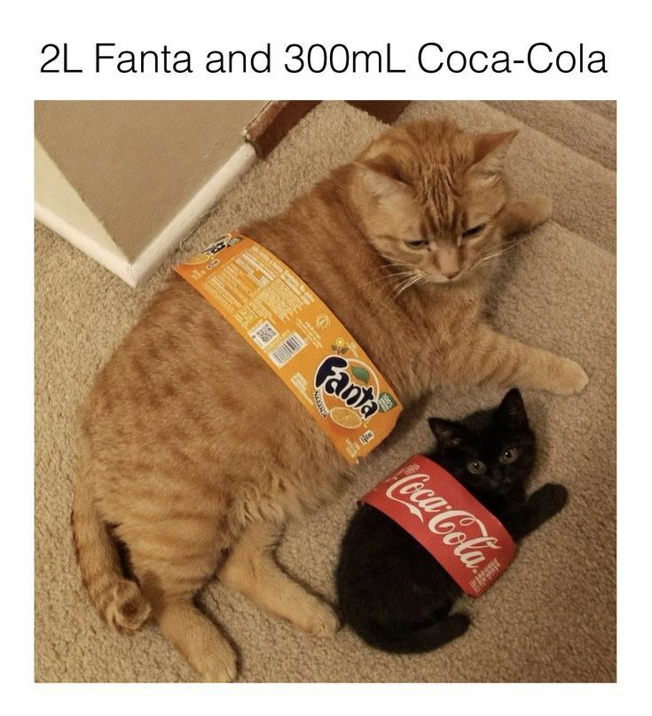 fanta_and_coke.jpg