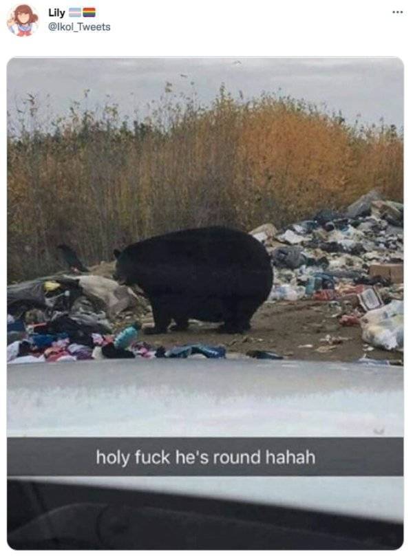 fatbear3.jpg