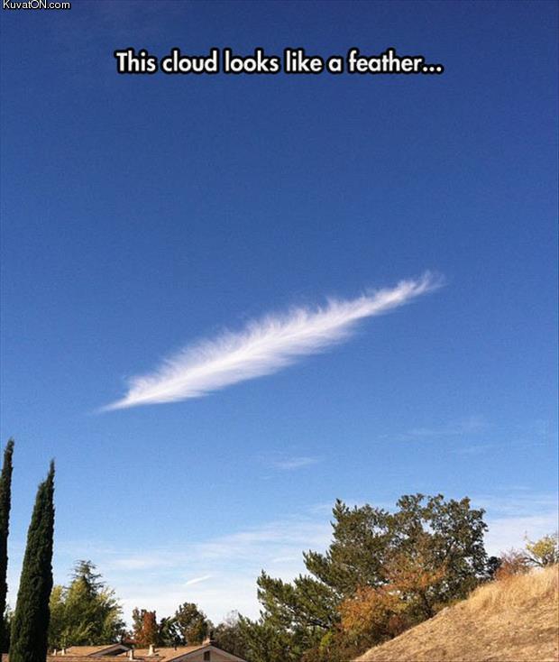 feather_cloud.jpg