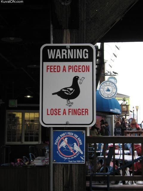 feed_pigeon_warning.jpg