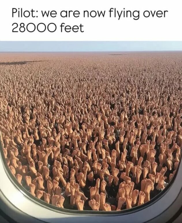 feet3.jpg