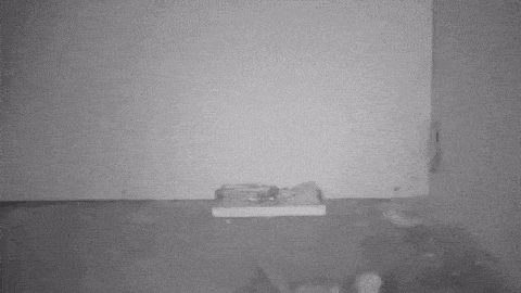 fiksu_hiiri3.gif