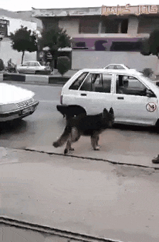 fiksu_kaveri_5.gif