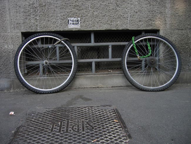 fillari2.jpg