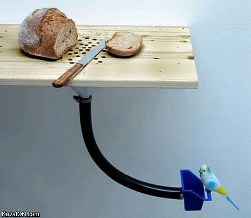 finally_ive_found_a_way_to_combine_my_constant_bread_cutting_with_the_dietary_needs_of_my_bird.jpg