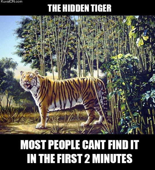 find_the_hidden_tiger.jpg