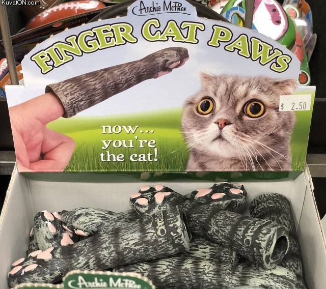fingercatpaw.jpg